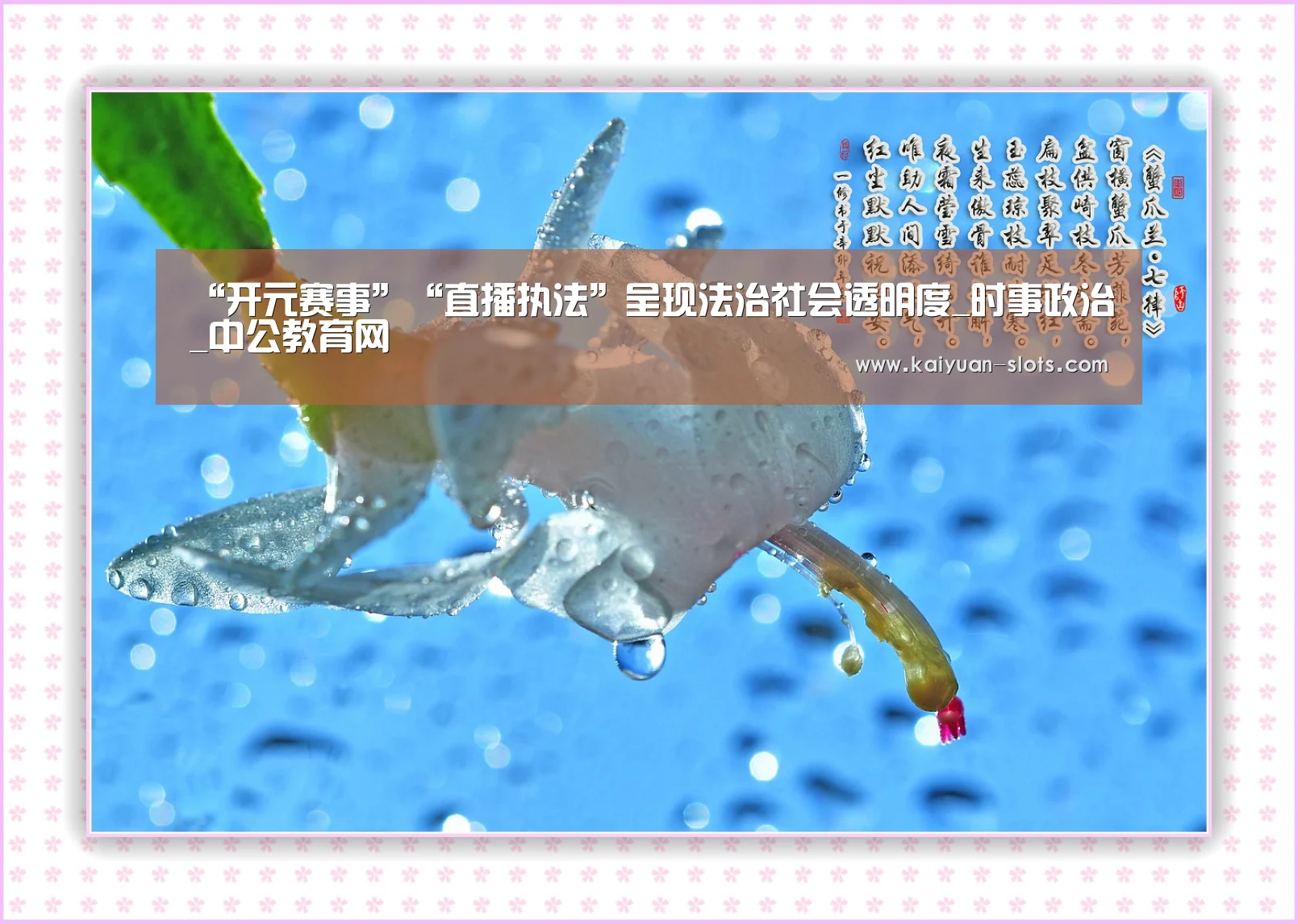“开元赛事”“直播执法”呈现法治社会透明度_时事政治_中公教育网(图1) 开元官网