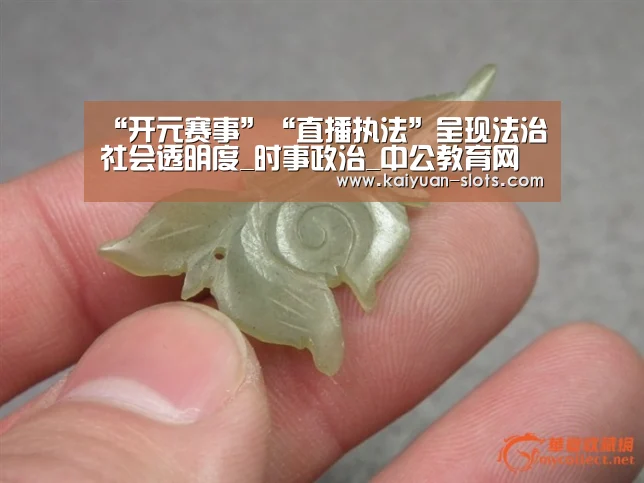 “开元赛事”“直播执法”呈现法治社会透明度_时事政治_中公教育网(图2) 开元官方