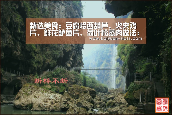 精选美食:豆腐烩西葫芦、火夹鸡片、鲜花鲈鱼片、荷叶粉蒸肉做法:开元聚合(图2) 开元聚合