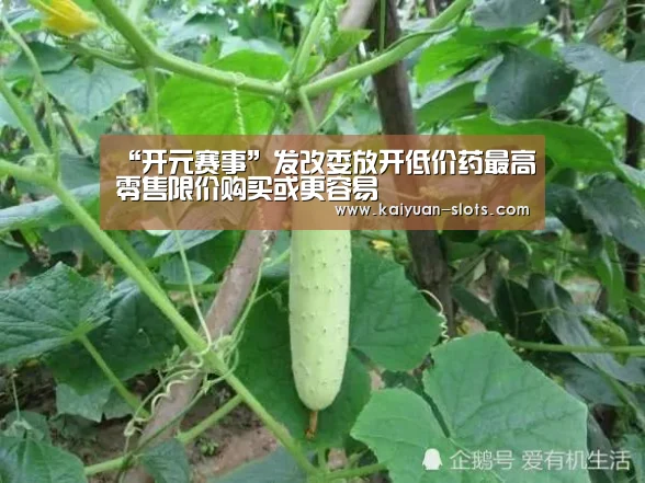 “开元赛事”发改委放开低价药最高零售限价购买或更容易(图2) 开元聚合