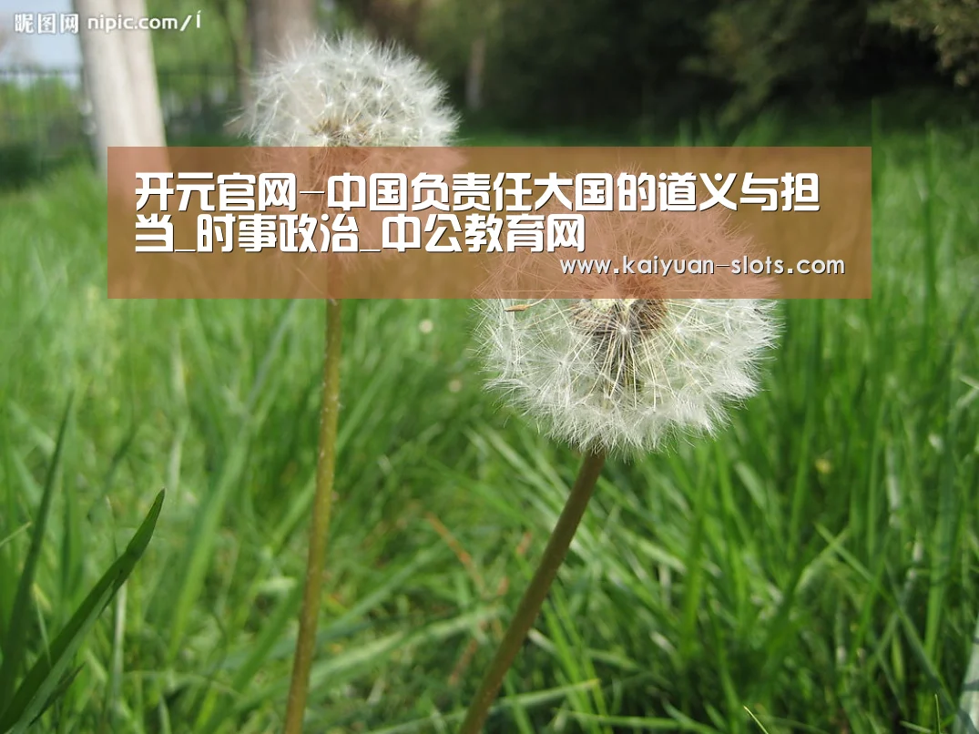 开元官网-中国负责任大国的道义与担当_时事政治_中公教育网(图3) 开元官网